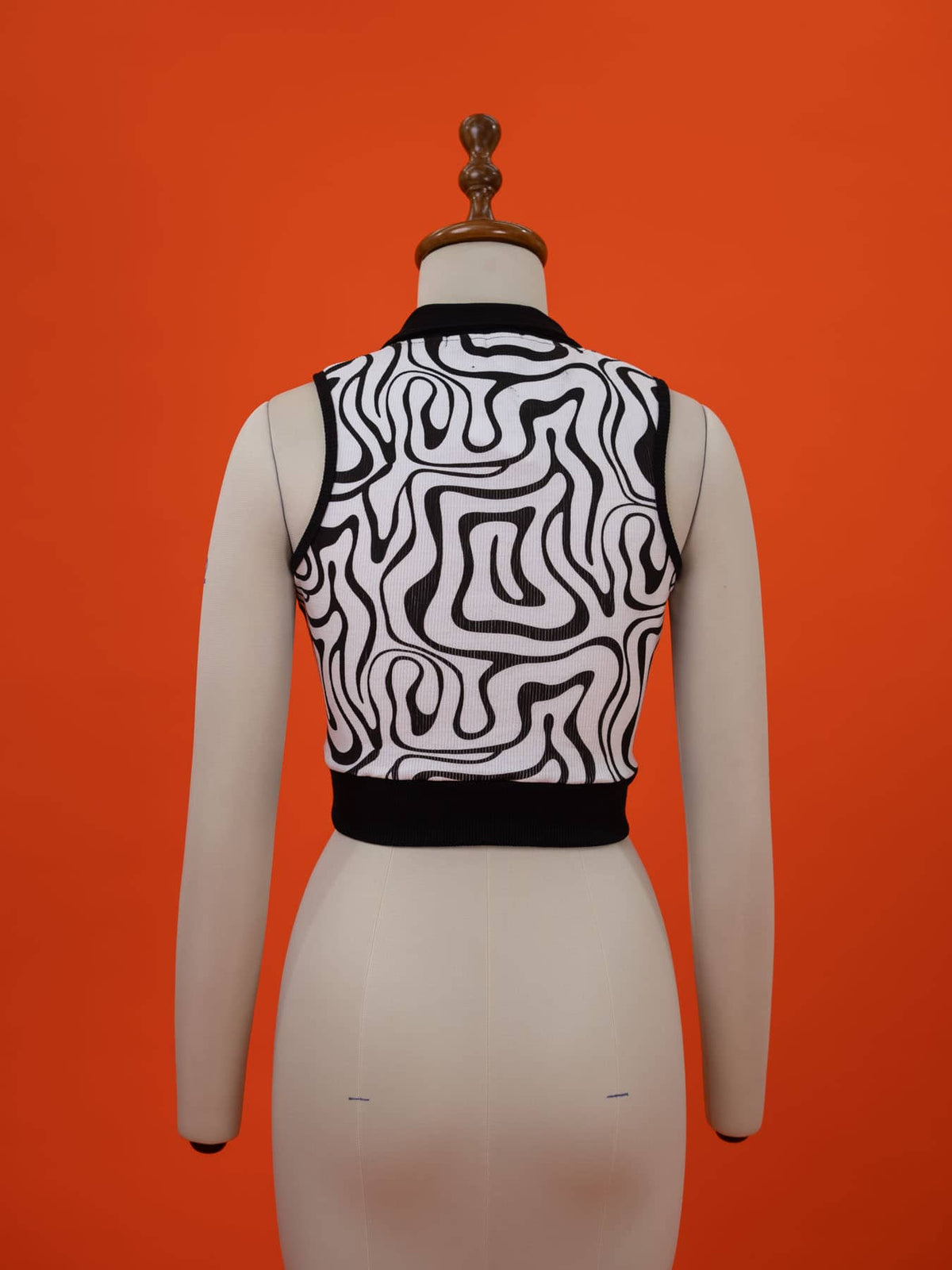 Zara Zebra Striped Top